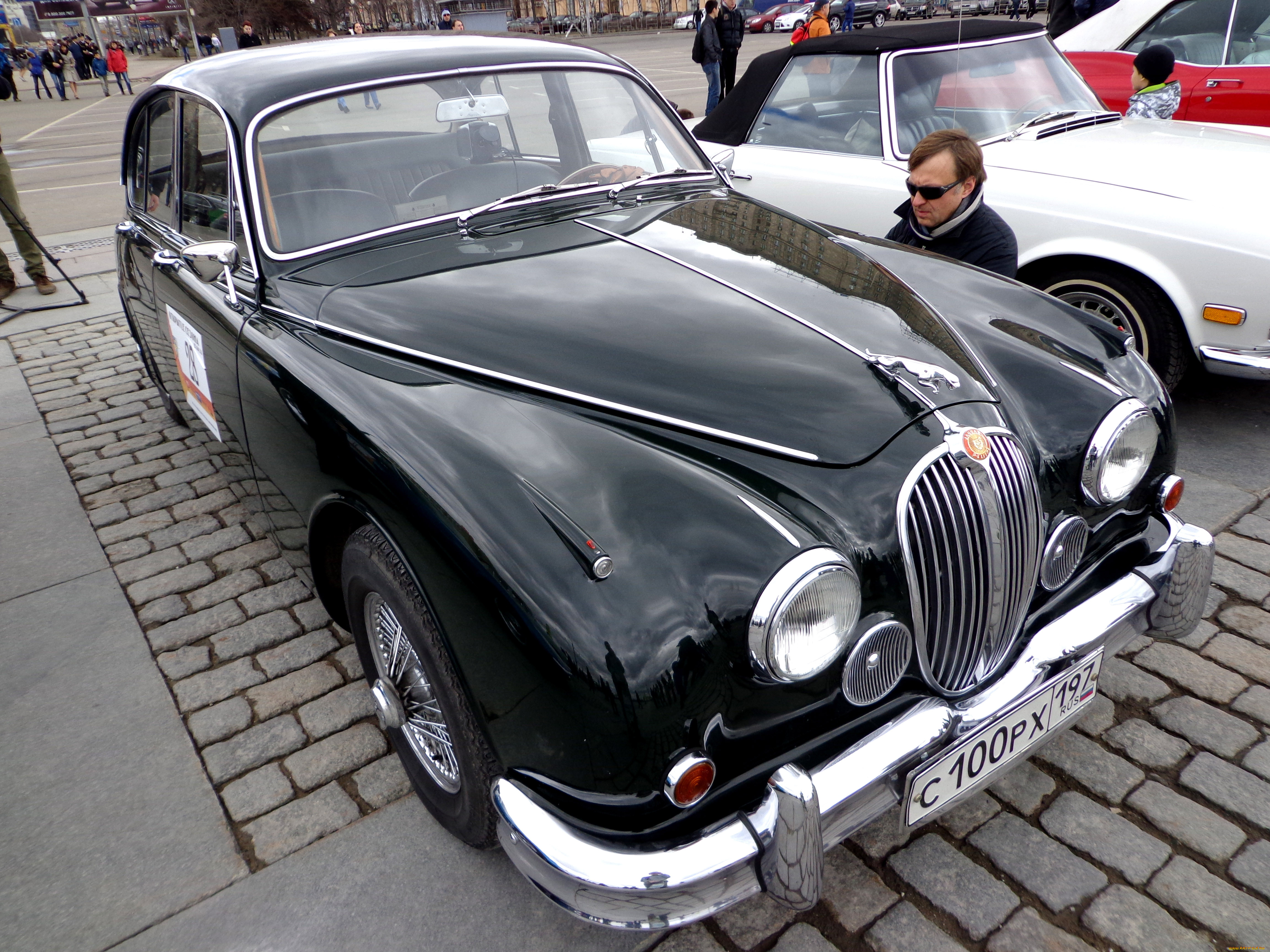,    , , jaguar